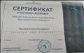 Сертификат участника вебинара  "ФГОС ДО: Развитие детей средствами театра"