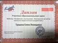 Диплом за участие в вебинаре "Профессия: игротерапевт. Игротерапия как метеод психолого-педагогического воздействия "